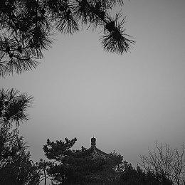 《FIFA 23》将首次支持跨平台 EA计划扩大女足联赛授权